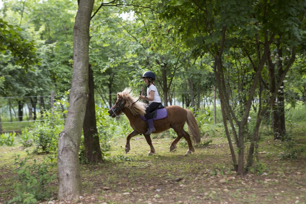 Agriturismo Borg Da Ocjs Medea ภายนอก รูปภาพ